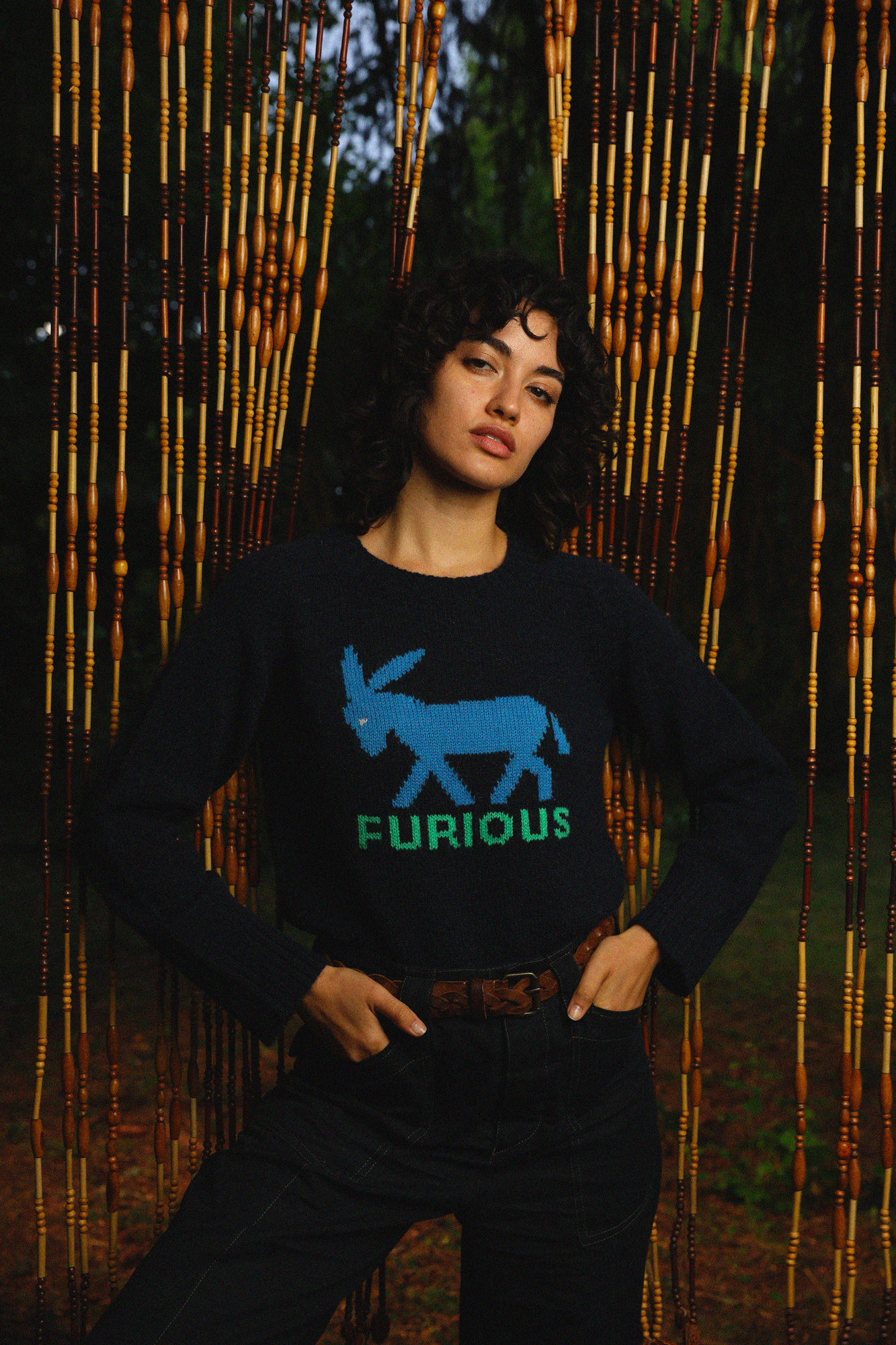 PIERROT - FURIOUS DONKEY