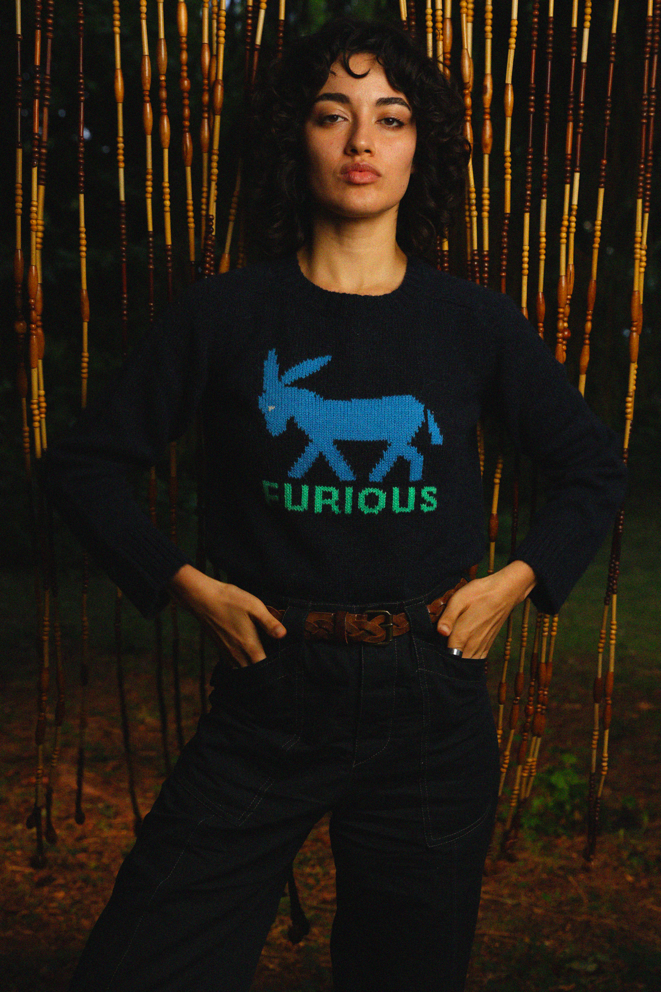 PIERROT - FURIOUS DONKEY
