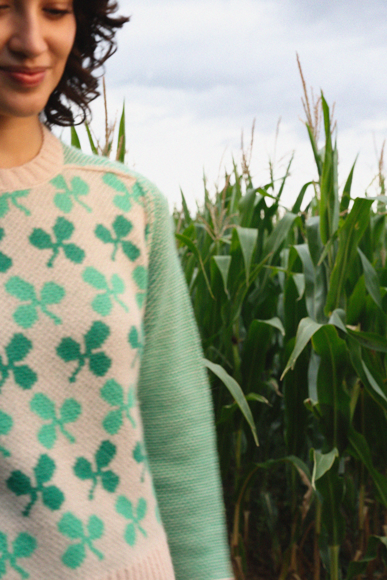 LOUIS SWEATER - CLOVERS