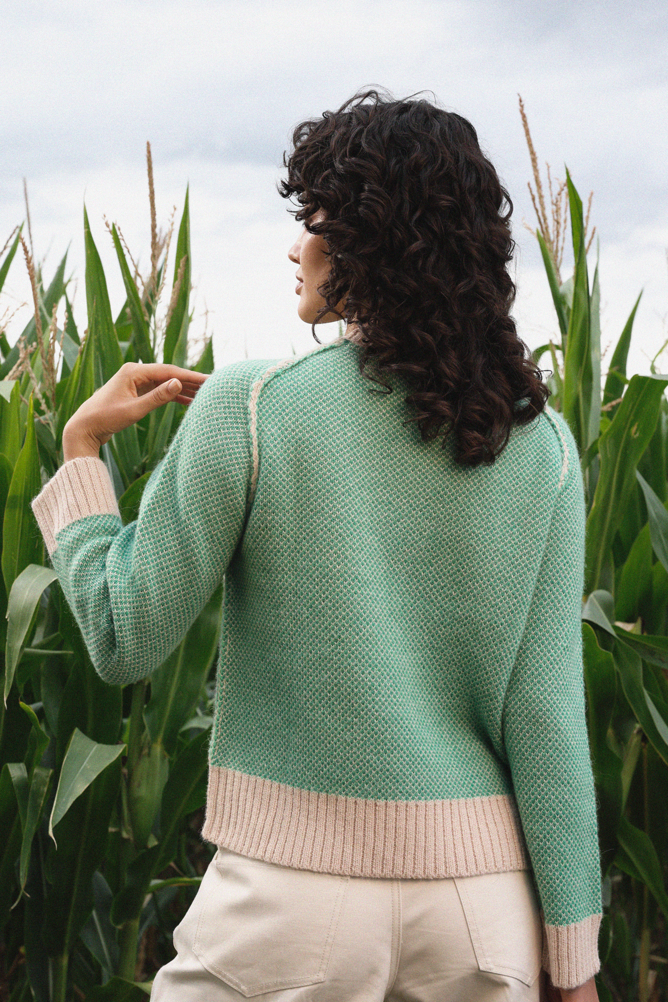 LOUIS SWEATER - CLOVERS